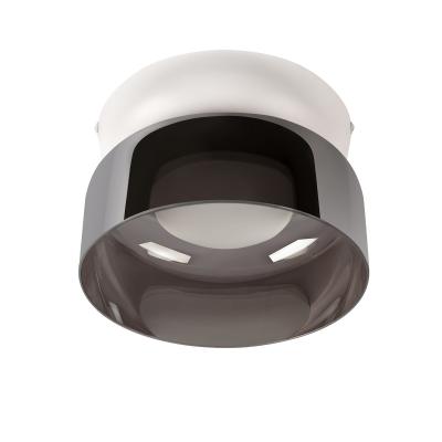 Потолочный светильник LOFT IT Totem 10466 Smoke