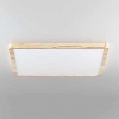 Потолочный светильник Citilux Бейсик CL738K502V