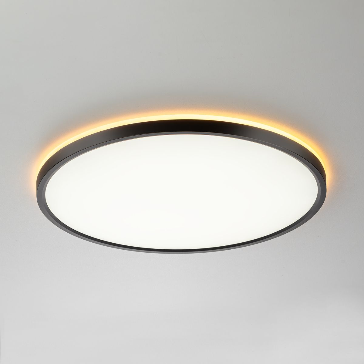 Потолочный светильник Citilux Norma CL749401