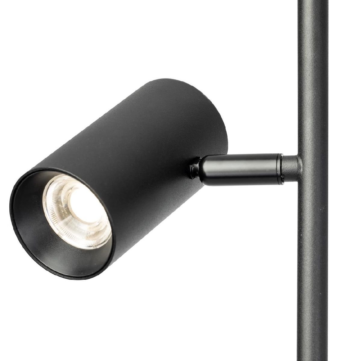 Торшер Citilux Twin CL809011N