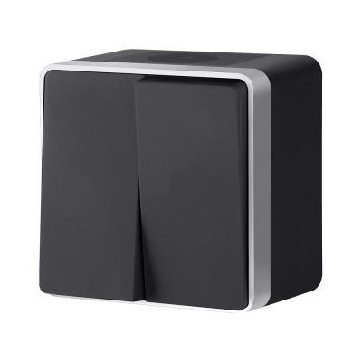 Выключатель двухклавишный влагозащищенный Werkel Gallant (черный с серебром) W5020234 4690389164279 a051154