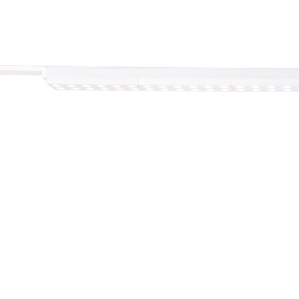 Трековый магнитный светильник Favourite Unica 4140-2C