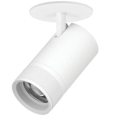 Встраиваемый светильник 20-55G с адаптером Lightstar Canno Pro C4406RS