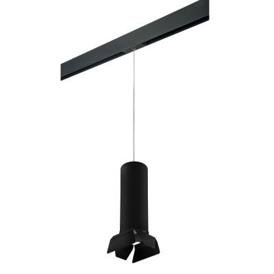 Трековый светильник Lightstar Rullo PRORP6497487 (216497+595887+202487)