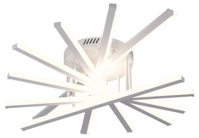 Потолочный светильник Rivoli Cordelia 6184-201 Б0068486