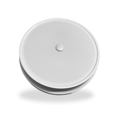 Потолочная люстра Arti Lampadari Tavoleto L 1.13.32 W