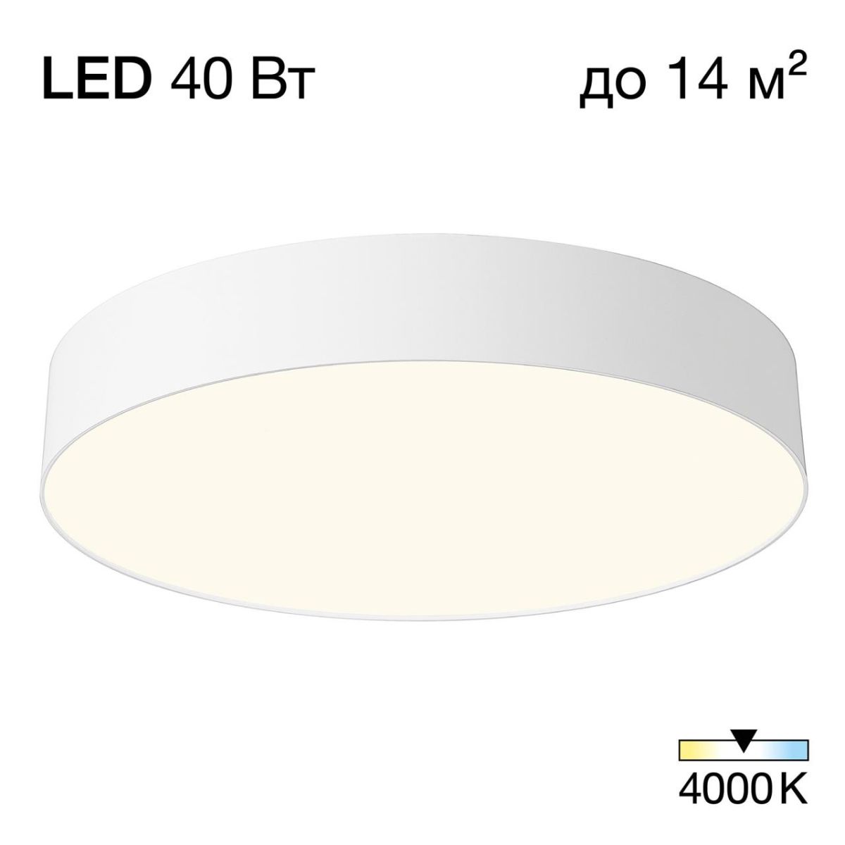 Накладной светильник Citilux Bart CL755390