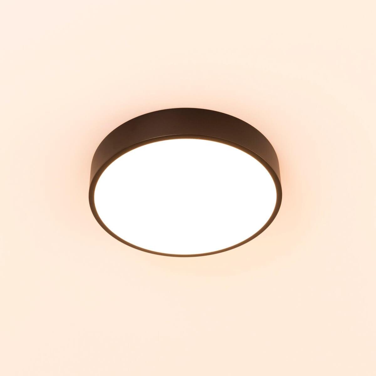 Потолочный светильник Citilux Купер CL72424V1