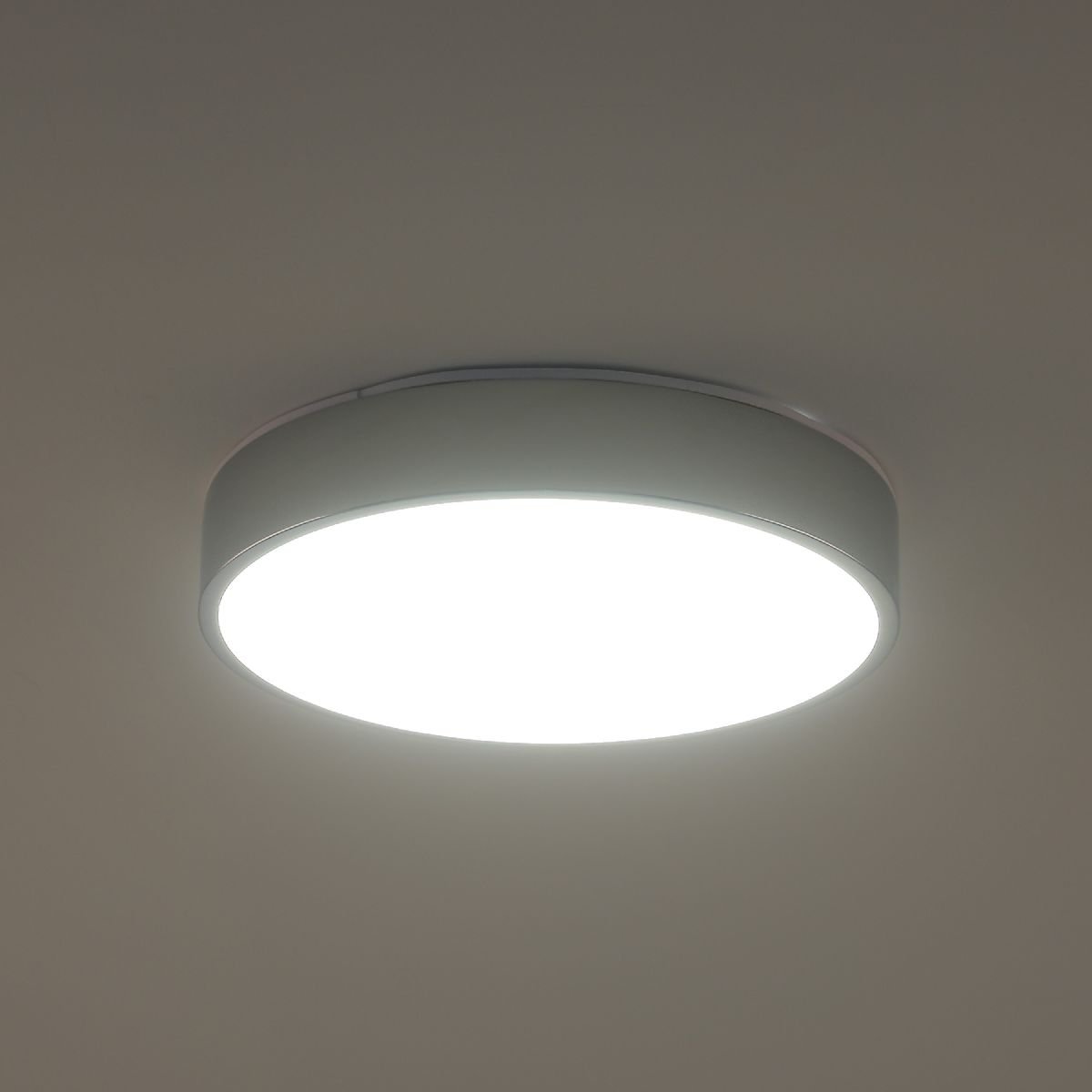 Потолочный светильник Zortes Tortty ZRS.02565.36