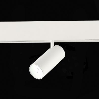 Трековый магнитный светильник ST Luce Skyline 48 ST375.506.07ZGB