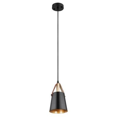 Подвесной светильник Arte Lamp Thomas A7032SP-1BK
