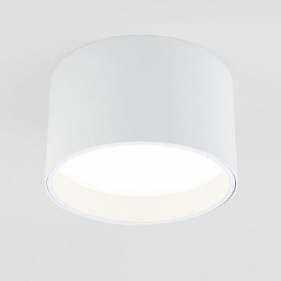Потолочный светодиодный светильник Elektrostandard 25123/Led Banti 13Вт 4200K 4690389183980