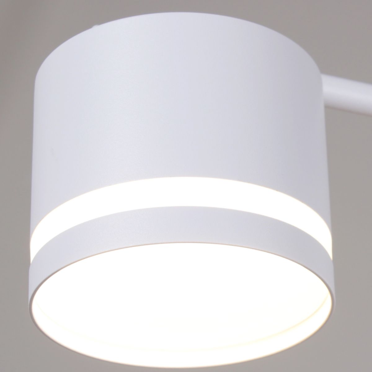 Люстра на штанге Reluce 89730-0.3-12 GX53 WT