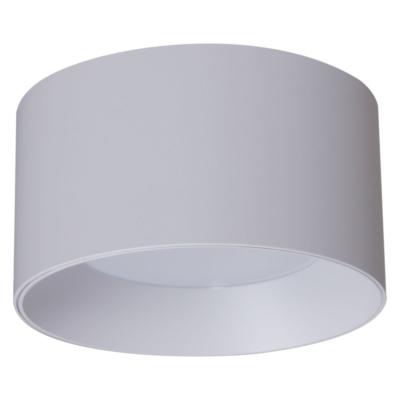 Накладной светильник Reluce 53060-9.5-001LD GX53 WT