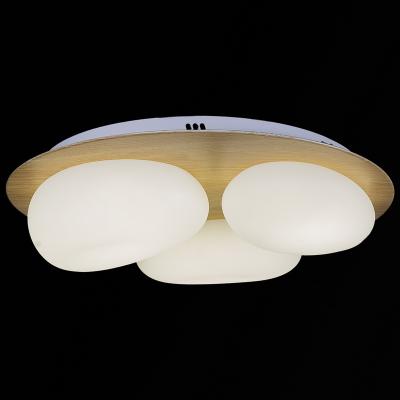 Потолочная люстра Reluce 10009-0.3-60W AEROLITE