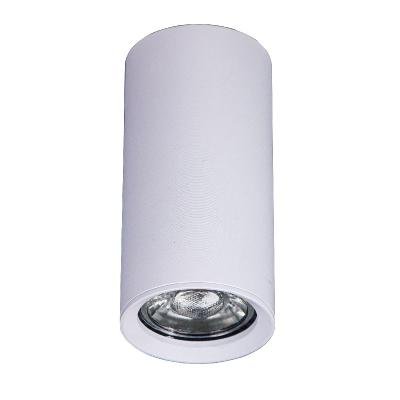 Накладной светильник Brizzi Aras BR08093