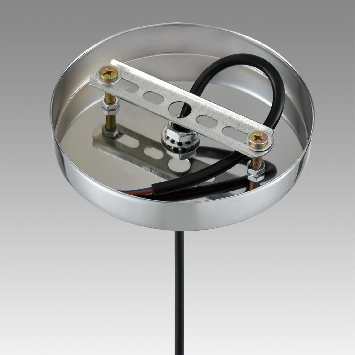 Подвесной светильник Lumion Suspentioni Manola 8048/1A