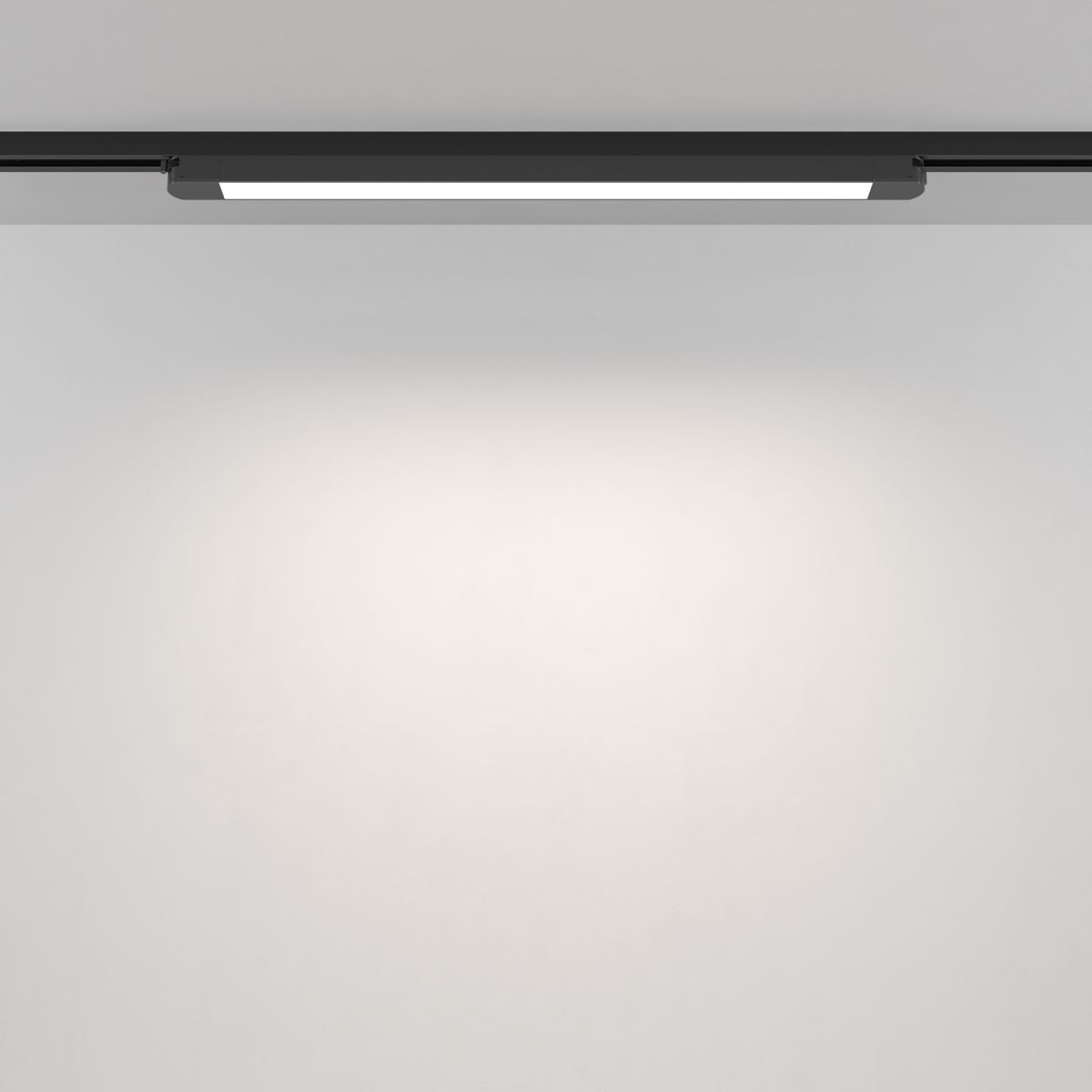 Трековый однофазный светильник Maytoni Technical Basis TR000-1-24W4K-B_1