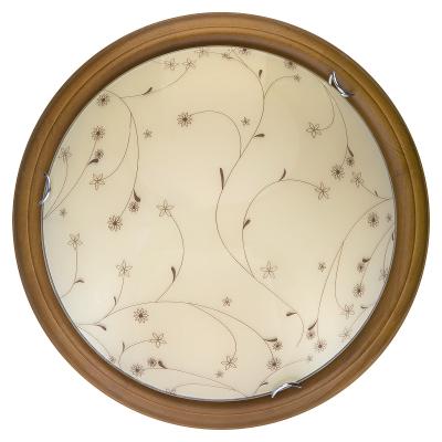 Настенно-потолочный светодиодный светильник Toplight Karissa TL9650Y-00OA