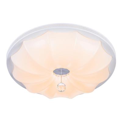 Потолочный светодиодный светильник Escada 10231/S LED