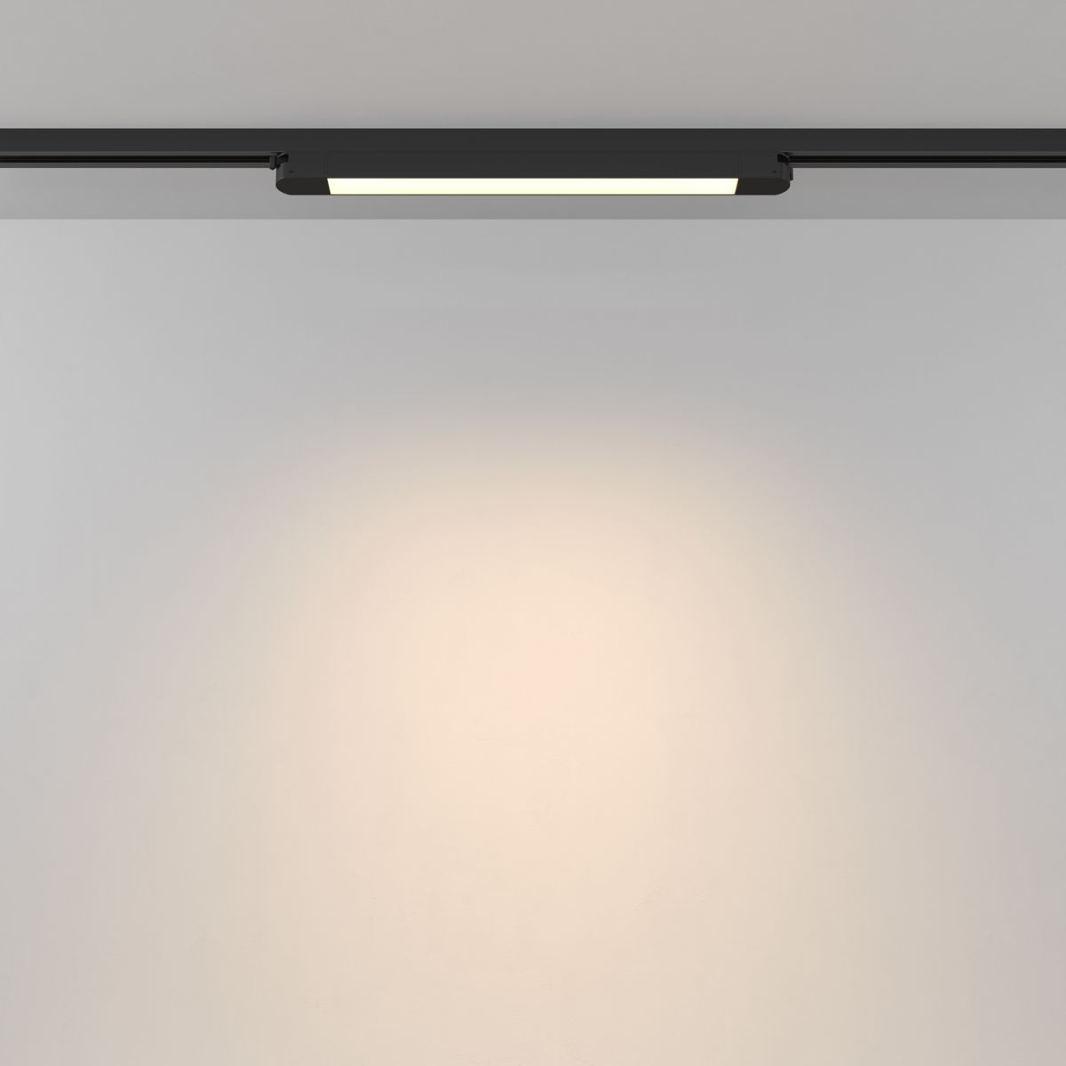 Трековый однофазный светильник Maytoni Technical Basis TR000-1-12W3K-B_1