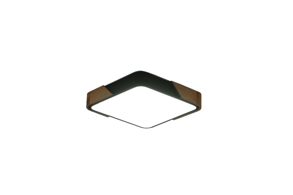 Потолочный светильник Zortes Alberro ZRS.01281.60
