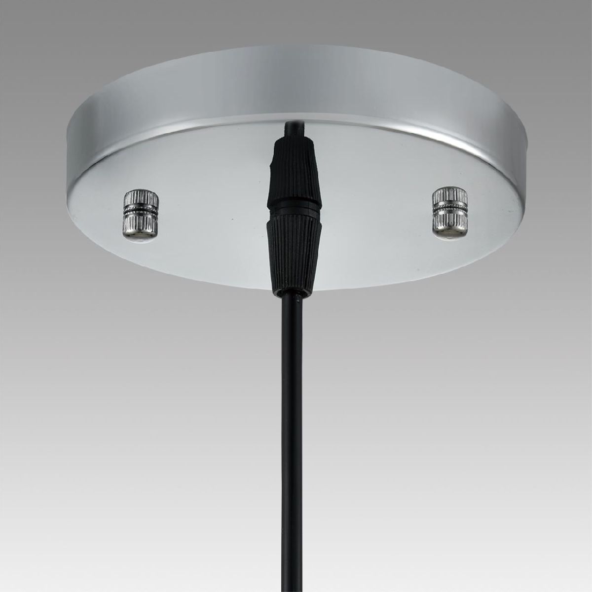 Подвесной светильник Lumion Suspentioni Manola 8048/1A