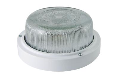 Настенно-потолочный светильник TDM Electric НПП 03-100-003 SQ0311-0019