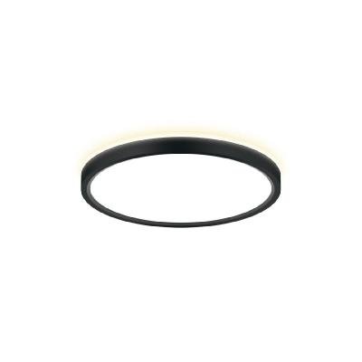Потолочный светильник Citilux Norma CL748241