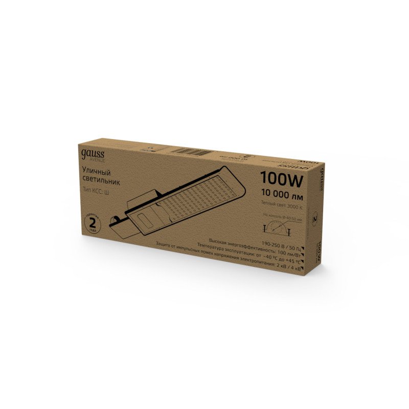 Уличный консольный светильник Gauss Avenue 629534100