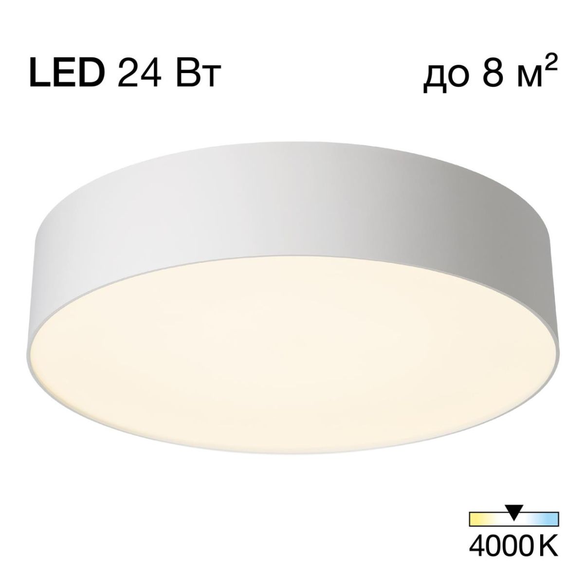 Потолочный светильник Citilux Bart CL755290