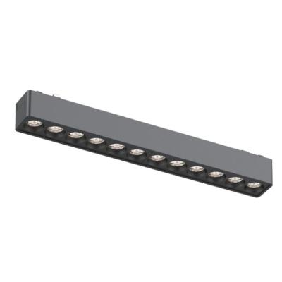 Трековый магнитный светильник Aployt Magnetic track 48 APL.0100.01.12