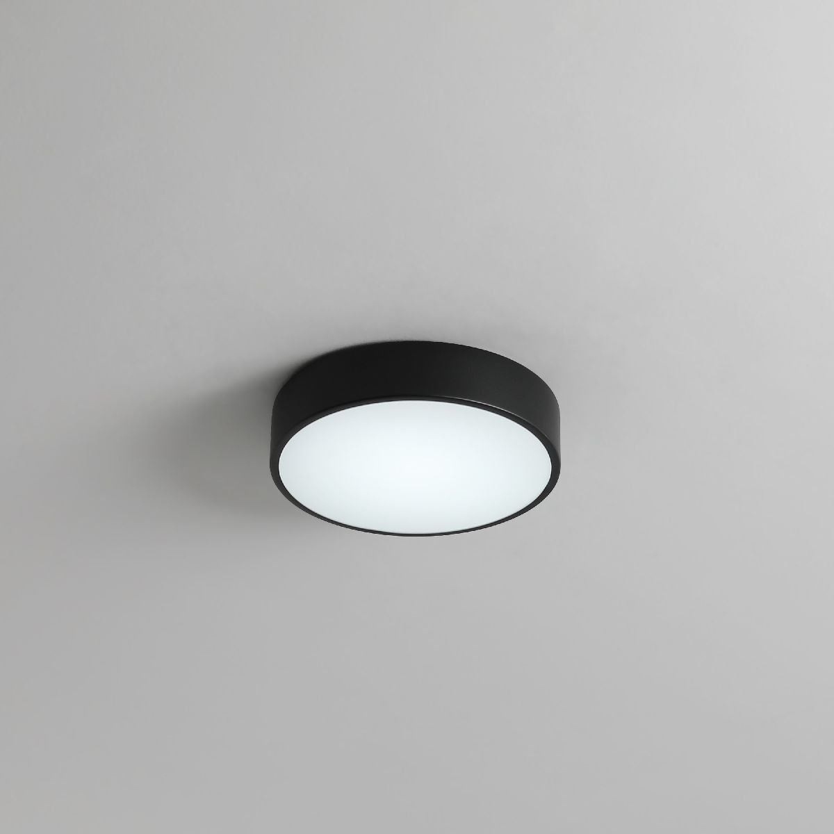 Потолочный светильник Zortes Tortty ZRS.02563.36