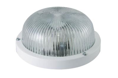 Настенно-потолочный светильник TDM Electric НПП 03-60-001 SQ0311-0023