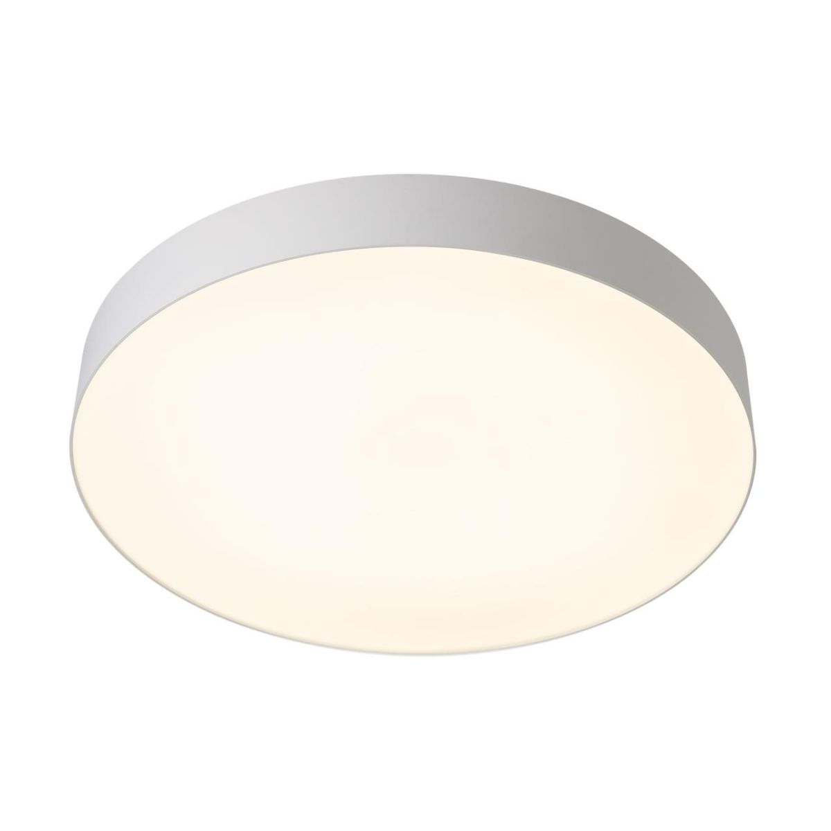 Потолочный светильник Citilux Bart CL755490