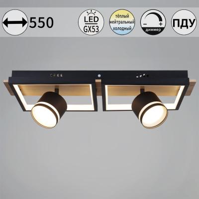Потолочный светильник Reluce 19560-0.3-2+2 BK+WOOD
