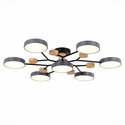 Люстра на штанге Evoluce Faema SLE6006-702-07