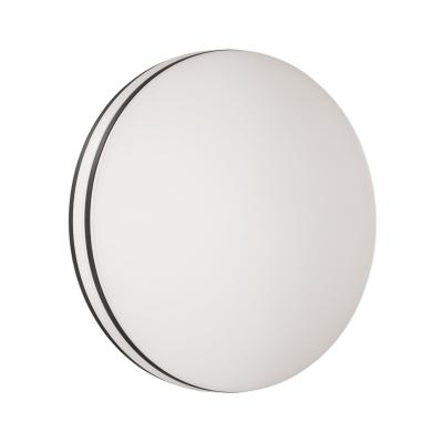 Настенно-потолочный светильник Sonex Lobio Rbg 3056/DL