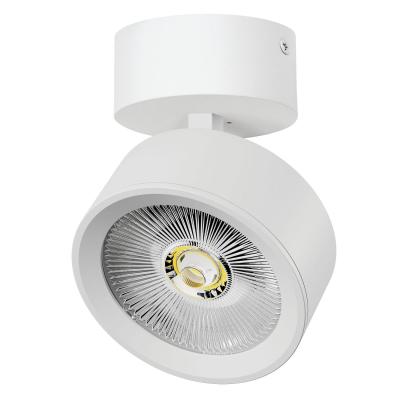 Накладной светильникAlta Pro Lightstar A5636SO