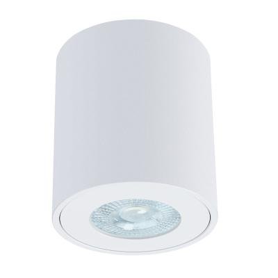 Накладной светильник Arte Lamp Tino A1469PL-1WH