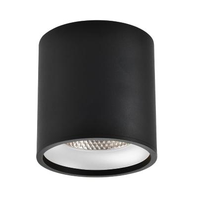 Накладной светильник ST Luce ST165.442.12