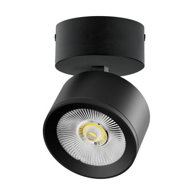 Накладной светильник Alta Pro Lightstar A5547SO