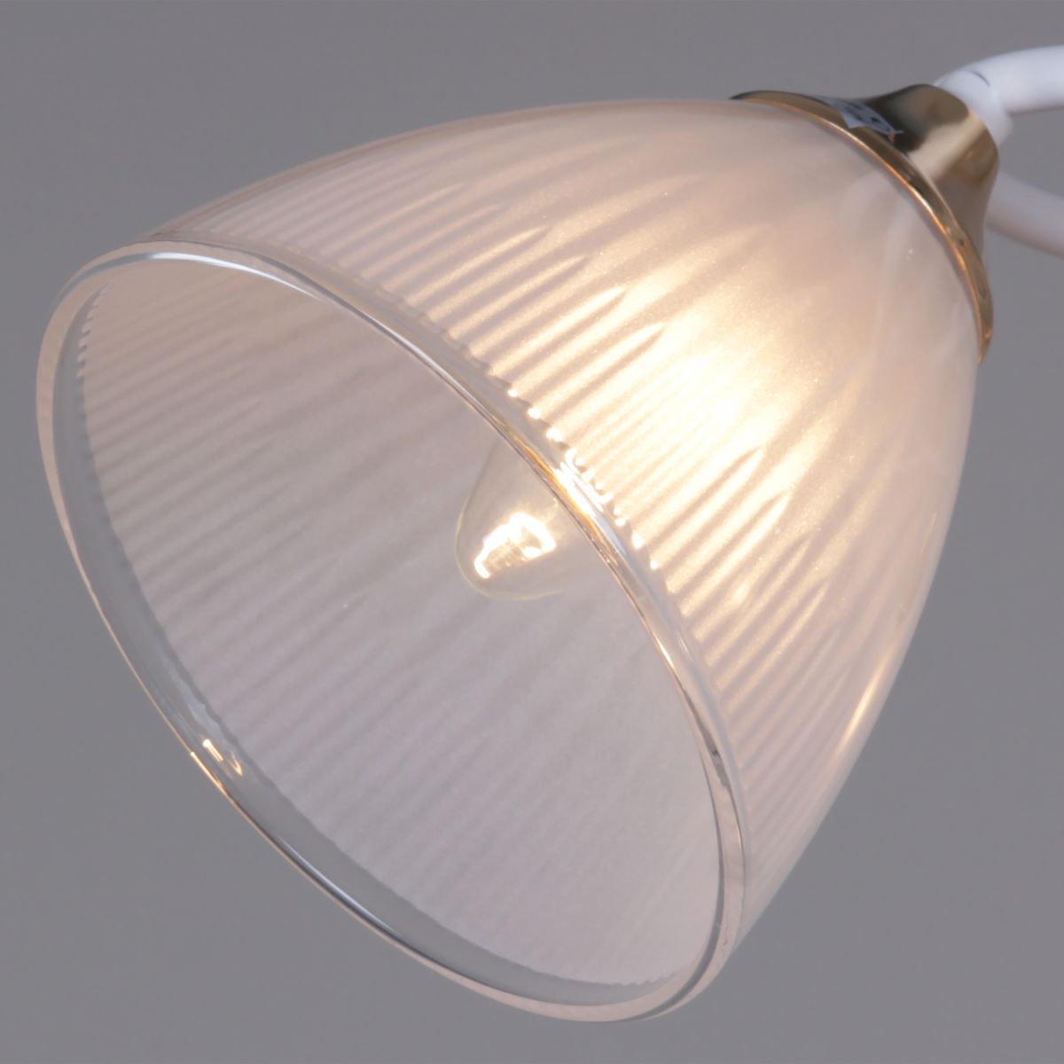 Потолочный светильник Reluce 04360-0.3-03 WH+FG