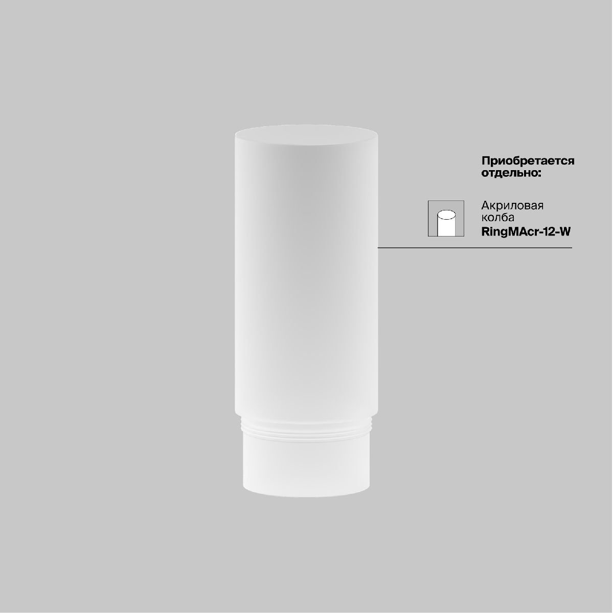Трековый магнитный светильник Maytoni Focus Led TR041-2-12W4K-BBS
