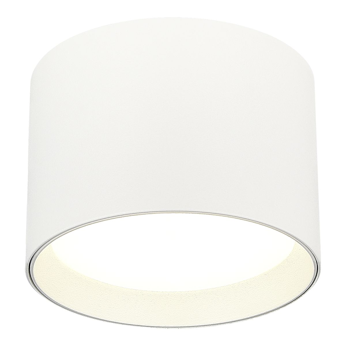 Потолочный светильник ST Luce  ST163.502.01.02