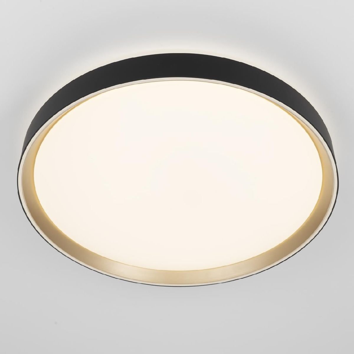 Потолочный светильник Citilux Boss CL751451G
