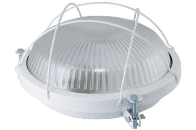Настенно-потолочный светильник TDM Electric Рыбий глаз НПП 03-100-020.02 SQ0311-0022