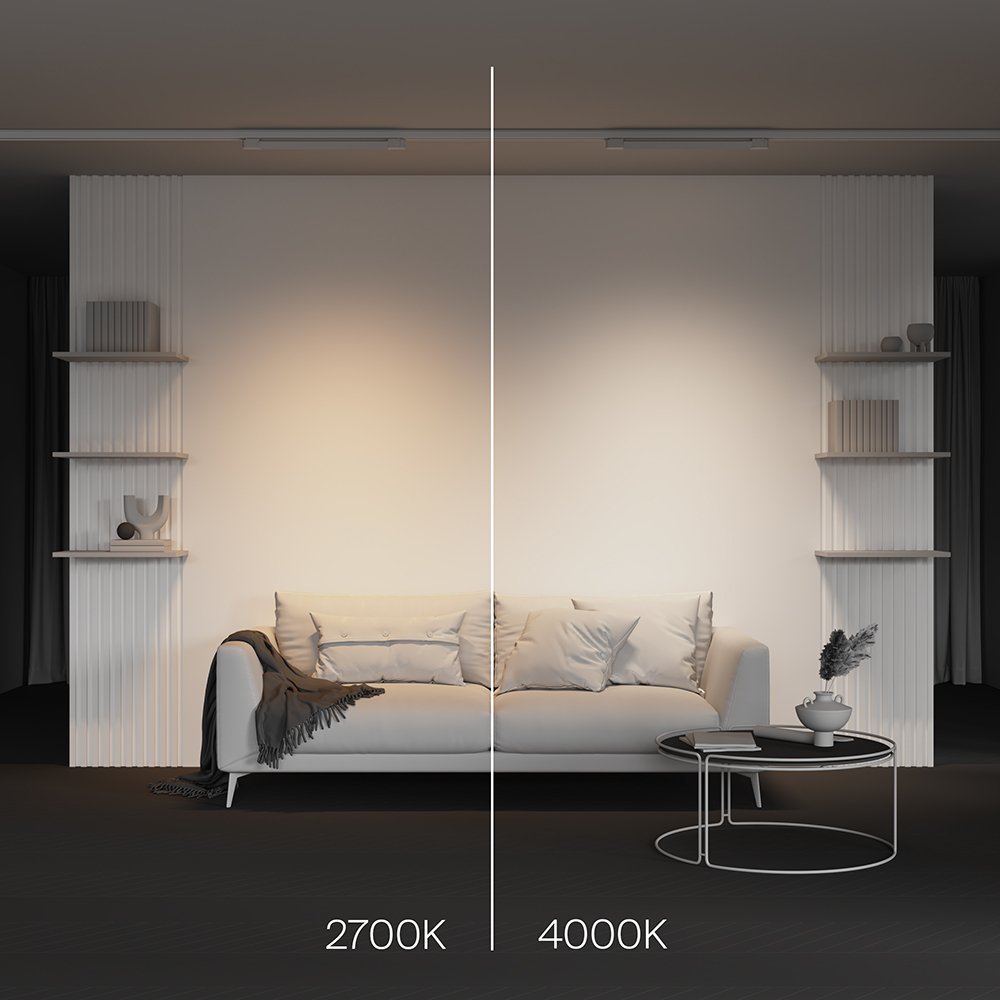 Трековый трехфазный светильник Maytoni Basis TR196-3-20W2.7K-W