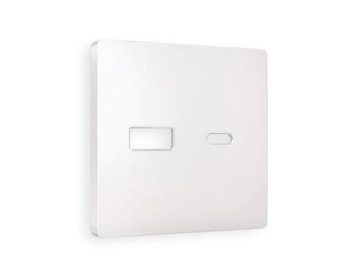 Лицевая панель для розетки 2USB тип A+C Ambrella Volt Alfa AP2110