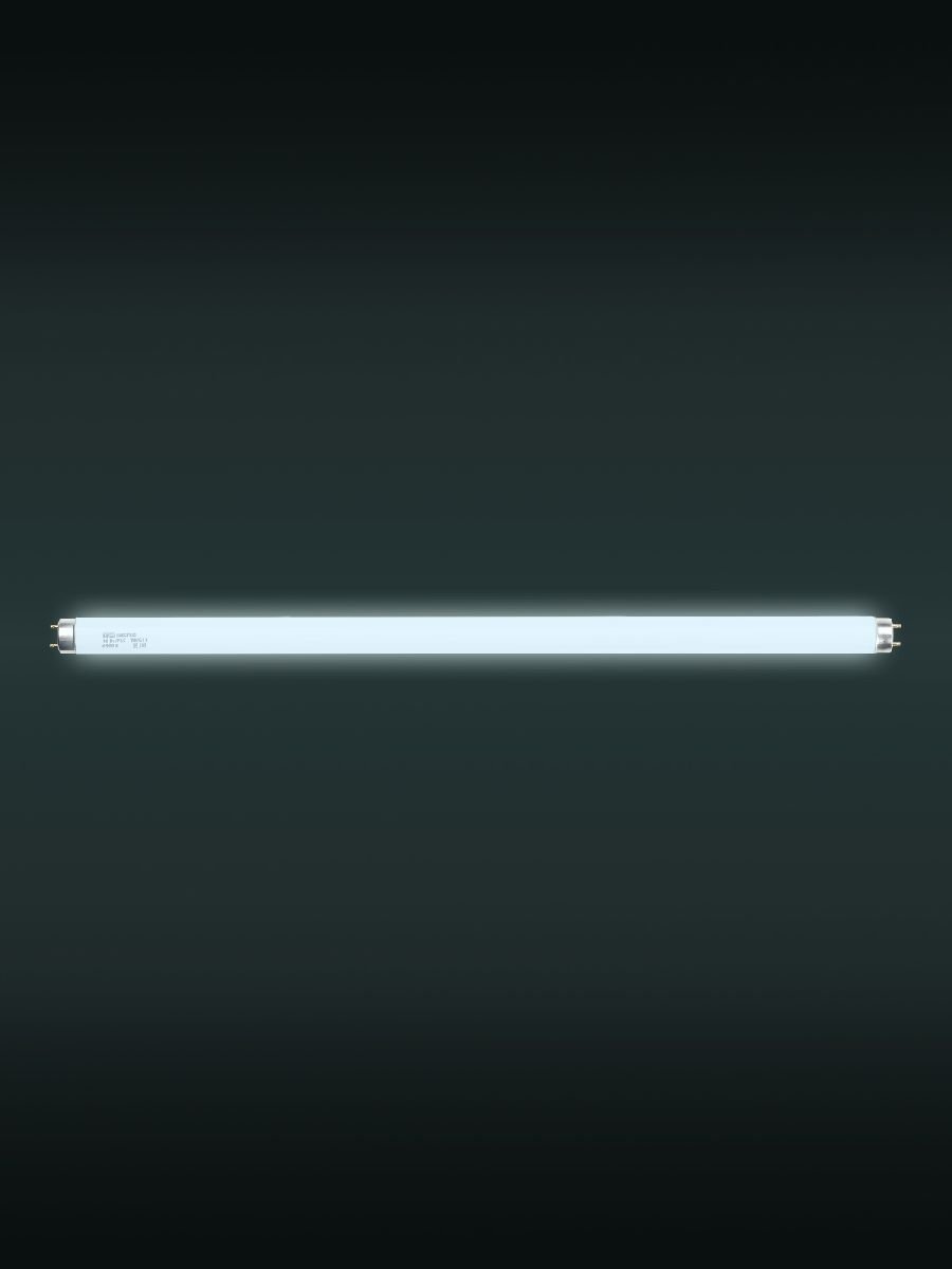 Лампа люминесцентная TDM Electric G13 18W 6500K белая SQ0355-0027